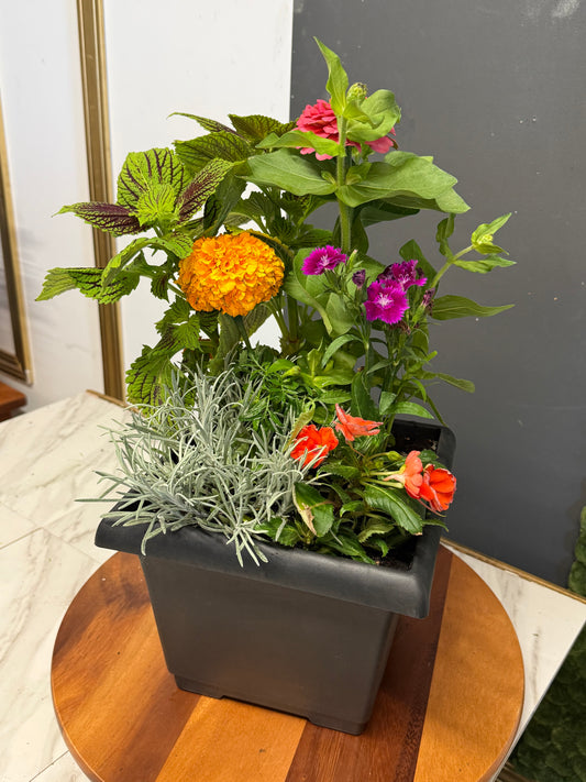 Blooming Season Group Class (Sunday June 21)