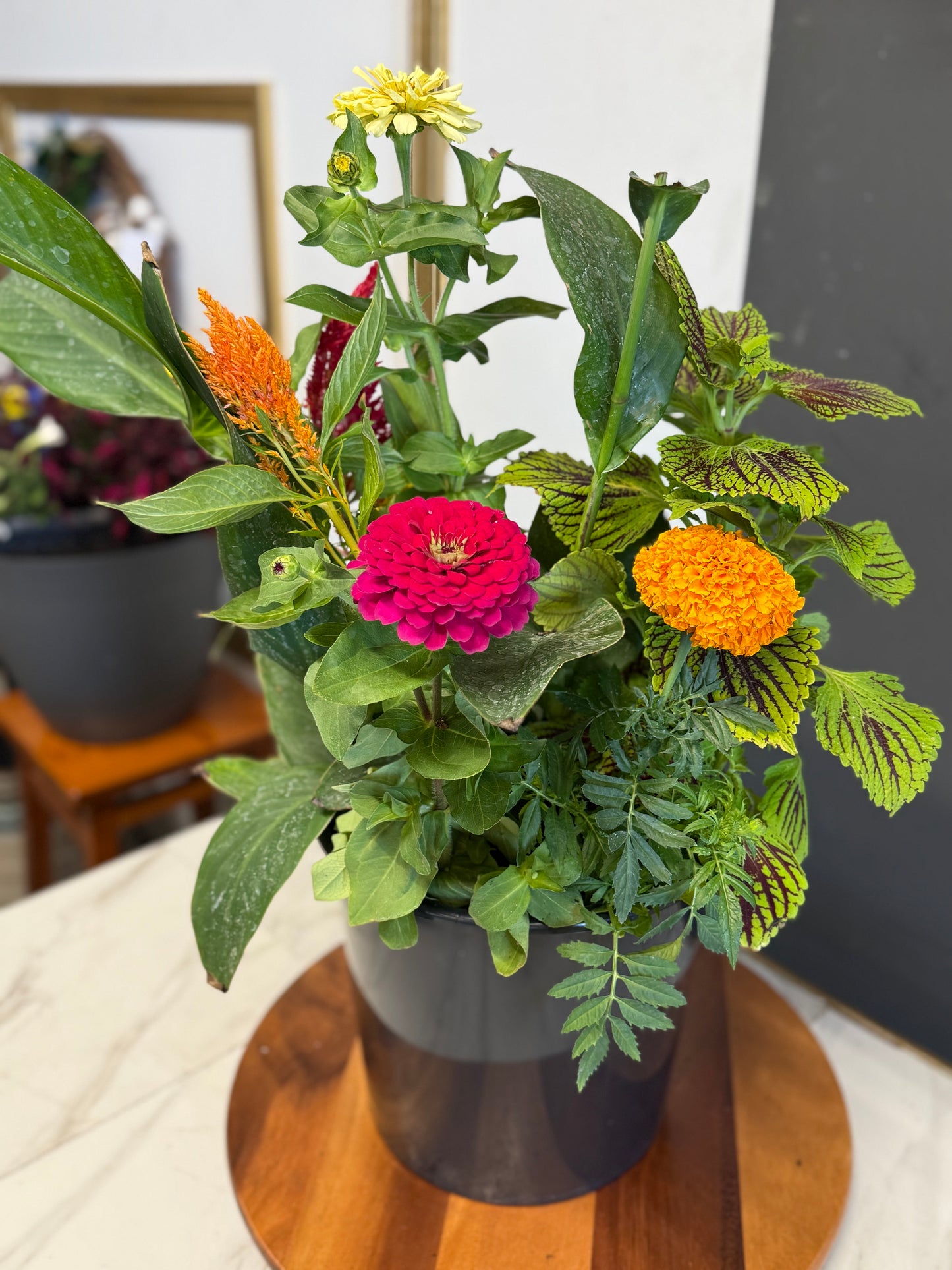 Blooming Season Group Class (Friday June 12)